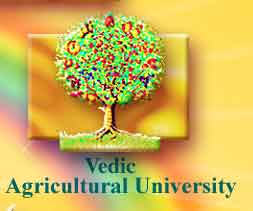 Vedic Agriculture University