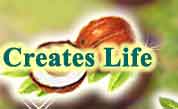Creates Life